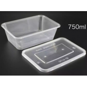 750ml Rectangle Plastic Container with Lid (300 Sets/Box)