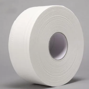 Premium Toilet Rolls 2 Ply-12 Rolls/Box