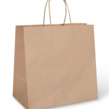 Paper Carry Bag Large Kraft Twist Handle 30x30x18cm (250/Ctn)