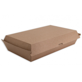 290x173x60mm Kraft Board Family Box (100 Sheets)