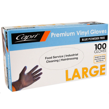 Large Blue Vinyl Gloves - Powder Free (100/Box)