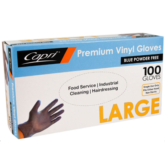 Large Blue Vinyl Gloves - Powder Free (100/Box)