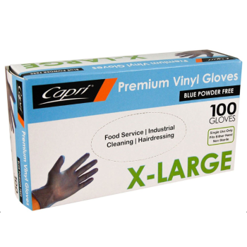 Extra Large Blue Vinyl Gloves - Powder Free (100/Box)