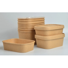 500ml PLA Lined Rectangle Paper Container (300/box)