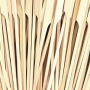  Flat Bamboo Skewer 180mm (200/pkt)