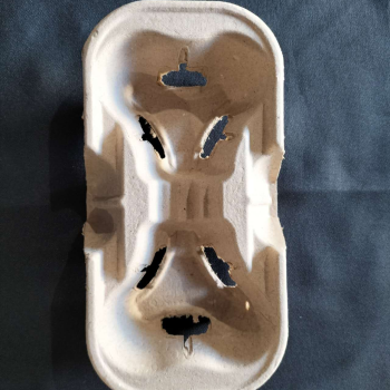 Moulded Fibre 2 Cup Carry Tray (50 Sheets)