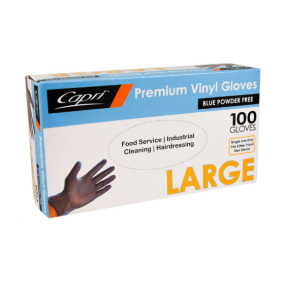 Large Blue Vinyl Gloves - Powder Free (100/Box)