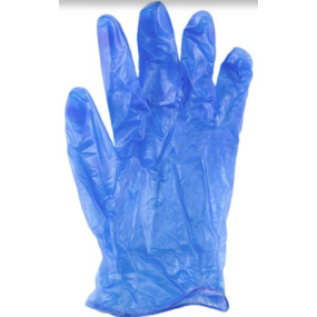 Small Blue Vinyl Gloves - Powder Free (100/Box)